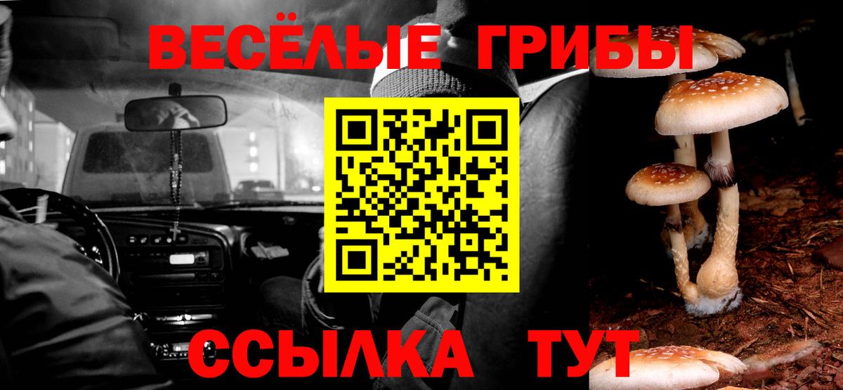 Псилоцибиновые грибы MAGIC MUSHROOMS  даркнет сайт  Гагарин  Вход с VPN 